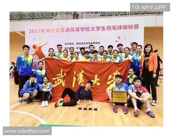 武汉羽毛球队的转型之路与深度解析羽毛球运动的未来发展