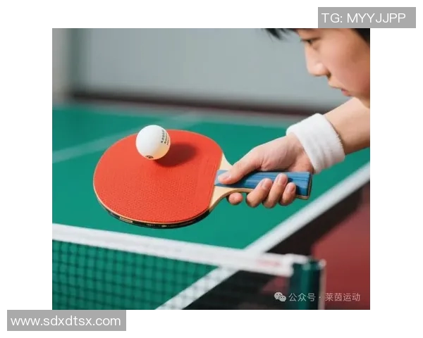 乒乓球技艺探秘：杭州乒乓球队快攻战术的深度解析与实践