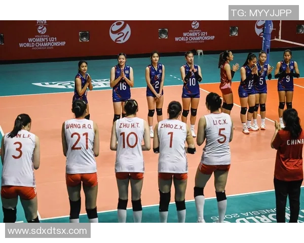 南京排球队的崛起与发展探索聚焦排球运动的力量与未来潜力