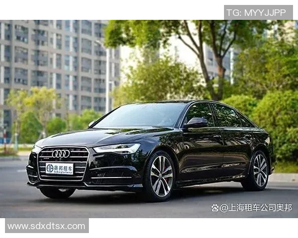 灵活便捷的汽车租赁服务助力您的出行需求，让旅行更加轻松无忧