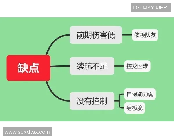 V5在世界冠军杯中的意识表现分析与战术解读